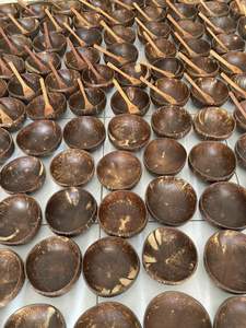 Bol à coquille de noix de coco, assiette de vaisselle à dessert, bol à coquille de noix de coco fait à la main, tendance 2022 - Product Image 2