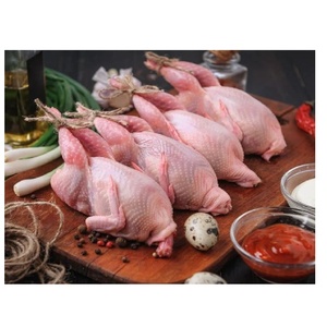 ซากนกกระทาแช่แข็งพรีเมียม เนื้อสดคุณภาพสูง สำหรับขายส่งจำนวนมาก ร้านอาหาร โรงแรม และอุตสาหกรรมจัดเลี้ยง - Product Image 2