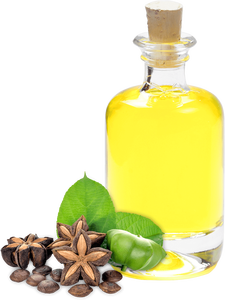 VENTE TOTALE SACHA HUILE INCHI 20 LITRES SACHA INCHI NOIX ARBRE VERT EXTRA VIERGE SACHI INCHI HUILE 250ML DU VIETNAM 2025 - Product Image 4