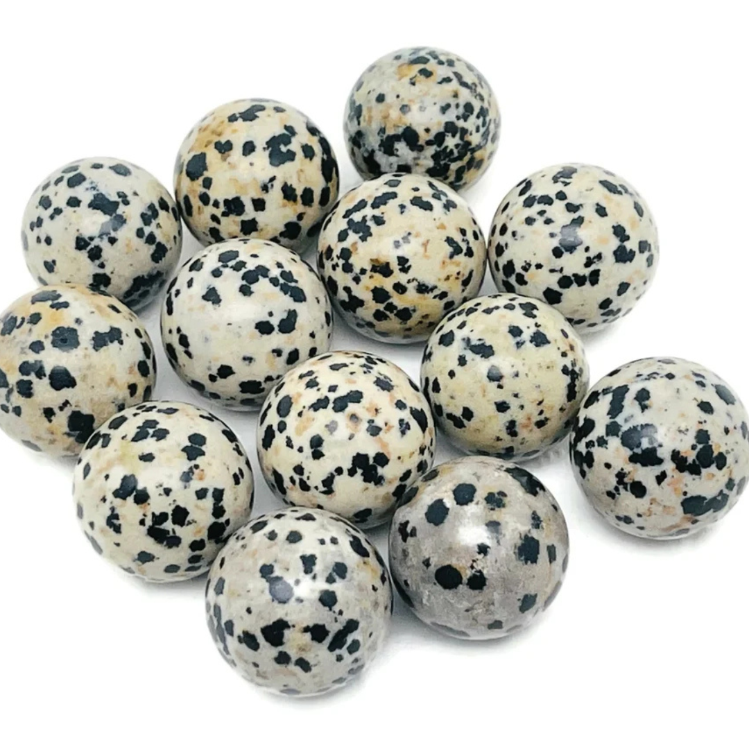 Dalmatian