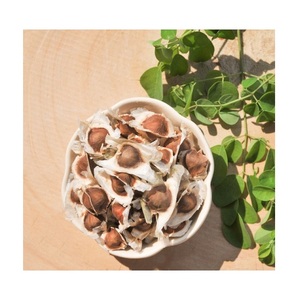 เมล็ดมะรุมธรรมชาติบริสุทธิ์ - Product Image 4
