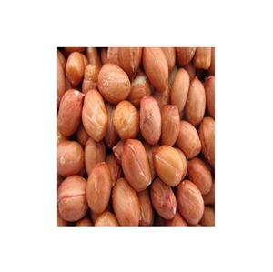 Semillas de cacahuete secas de calidad orgánica Premium, pelado, precio bajo, Exportación de cacahuetes crudos - Product Image 3