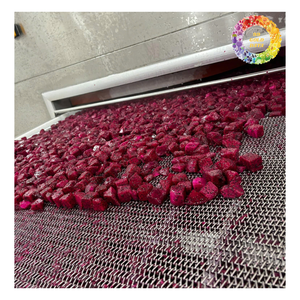 ผลไม้มังกรขาวแช่แข็งพร้อมลูกเต๋า20x20มม. รสชาติดี - Product Image 2