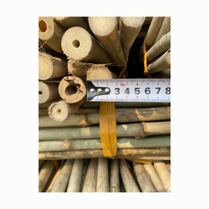 เสาไม้ไผ่ทรงตรงเสาไม้ไผ่ขนาดใหญ่สำหรับตกแต่งความยาว300ซม. เสาตรงแข็งแรง - Product Image 6
