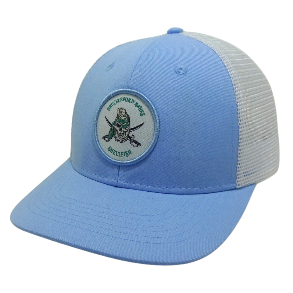 Baby Blue/White Mesh