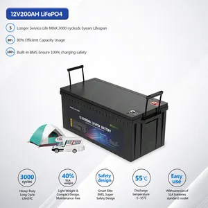 12v 12.8v 50ah 100ah 200ah 300ah 400ah batteria Lifepo4 con Bms per sistema solare Rv Scooter auto elettrica moto barca