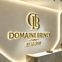 Enseigne lumineuse LED 3D pour entreprise, lettres en métal doré personnalisées, logo rétroéclairé en acrylique pour boutique, bureau, réception