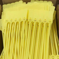Scellés jetables en plastique PP+PE à verrouillage automatique pour camions avec logo imprimé au laser pour la sécurité des extincteurs - Marque DingXin DX6-107P