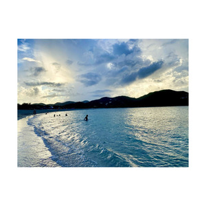 Troncos de haya de calidad superior para artículos de madera duraderos y hermosos disponibles a granel - Product Image 3