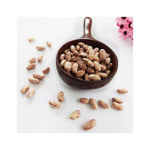 Frijoles de riñón moteados ligeros de alta calidad/Frijoles Pintos/Frijoles de azúcar - Product Image 6