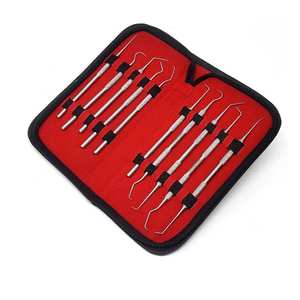 Juego de 10 Piezas de Instrumentos Quirúrgicos de Acero Inoxidable para Limpieza Profunda de Higiene Bucal Dental Profesional, Herramienta para el Cuidado de los Dientes - Product Image 1