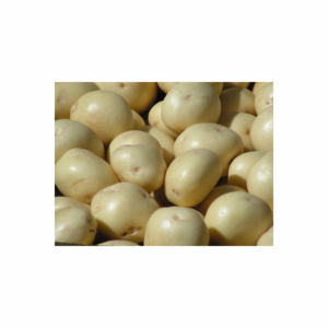 Culture de pommes de terre fraîches biologiques de haute qualité et frites surgelées Qualité d'exportation Nouveau fraîchement préparé - Product Image 5