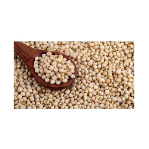 Granos de sorgo limpios y naturales envasados para exportación a granel - Product Image 4