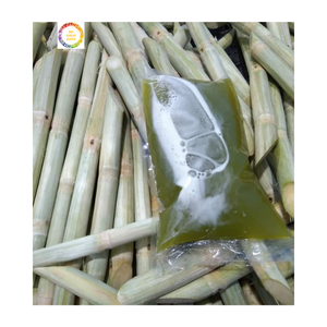 Bâton de canne à sucre de qualité supérieure / Jus de canne à sucre congelé d'origine vietnamienne avec un prix compétitif pour l'acheteur - Product Image 1