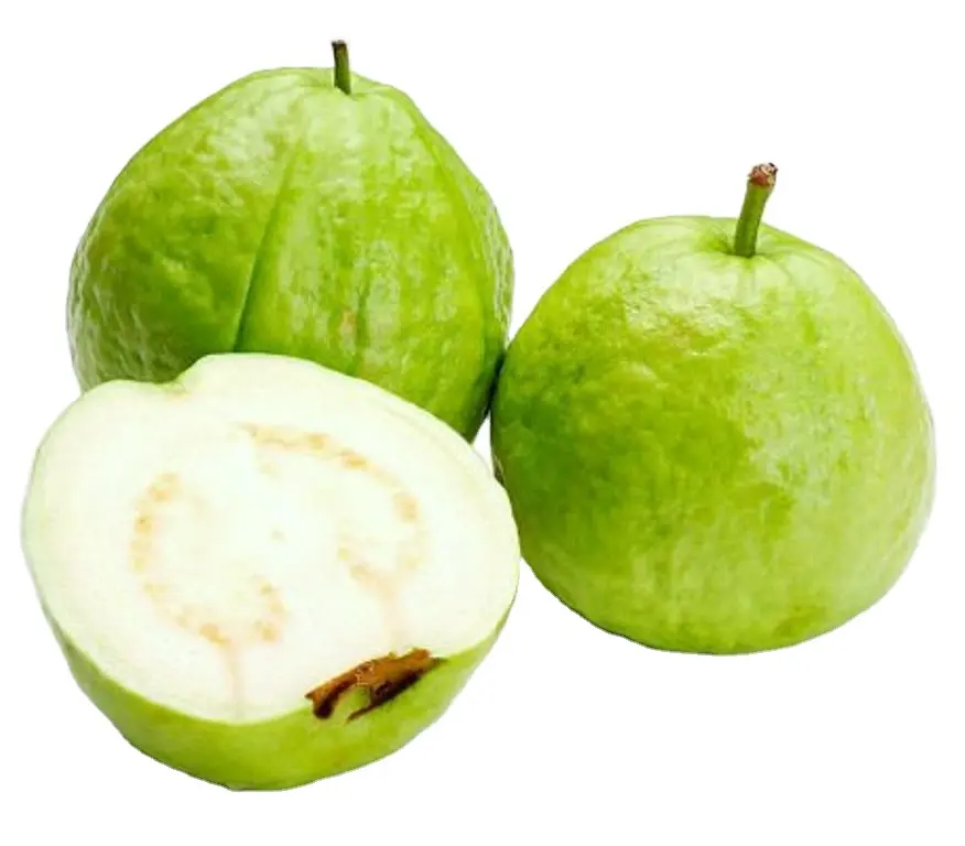 Toptan alım için 100% yüksek kaliteli Guava-taze Guava tropikal meyveler