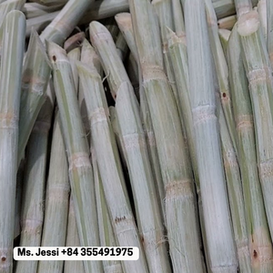 ¡Exportar! Palitos de caña de azúcar congelados, perfectos para bebidas y postres/Sra. Jessi - Product Image 3