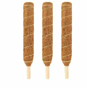 Top Selling Pole Sticks Potted Plant Extensão Suporta Musgo Coir Sticks Plantas Indoor Grows A Menor Preço Agro Products