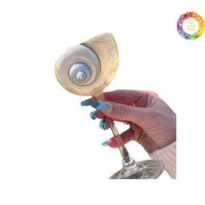 CONCHA DE CONCHA IMPRESIONANTE TURÍSTICA ÚNICA GLASSA RECOGIDA DE VIETNAM PRECIO COMPETITIVO DE BUKL CONCHA LIMITADA AL POR MAYOR - Product Image 5