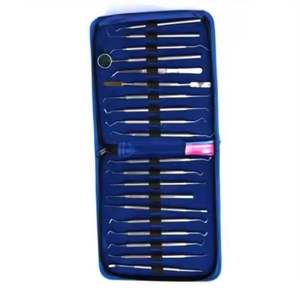 Instruments dentaires personnalisés de haute qualité Outils chirurgicaux Kit de soins d'hygiène buccale Ensemble de 10 pièces - Product Image 6