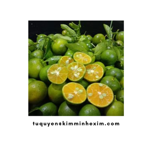Calamansi congelés IQF fruits du Vietnam Lime-Type en vrac emballé sous vide - Product Image 3