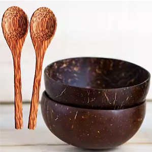 2025 tendance chaude bol de riz en bois de coquille de noix de coco naturelle écologique 100% compostable pour la fête servant des fruits de légumes mélangés - Product Image 1