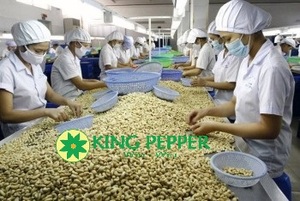 Noix de cajou bio du Vietnam, grillées et décortiquées, certifiées ISO, emballées sous vide, de bonne qualité, vente en gros pour l'exportation, marque Phalco, grade A - Product Image 6