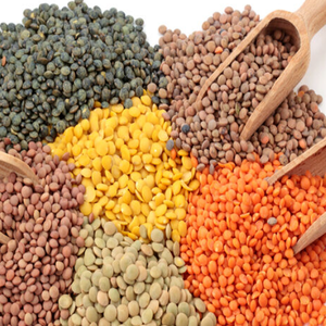 Envases a granel de alimentos secos de exportación de calidad de lentejas verdes y rojas orgánicas para compradores globales - Product Image 2