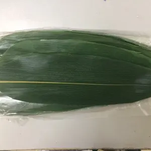 במבוק עלה להכנת zongzi / Ms זווית