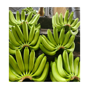 Embalaje de plátano Cavendish fresco fabricado en Vietnam en caja de cartón-Fruta fresca para exportación-Plátano Cavendish a buen precio - Product Image 5