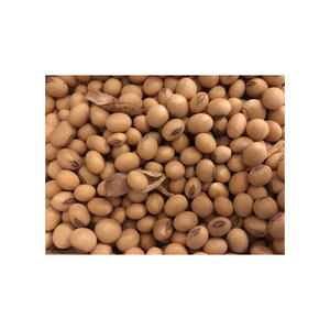 High Quality Organic Non-GMO <b>Soybean</b> Dried Style Bulk Packaged for Sale - Product Image 4