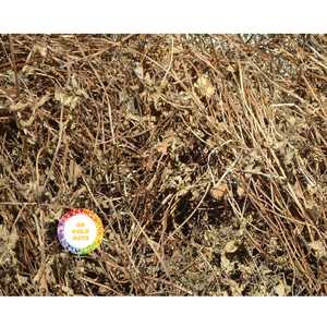 ใบเจลลี่ใบไม้แห้งแบบพรีเมี่ยมจากเวียดนาม - Product Image 4