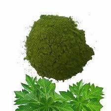 <b>FRESH</b> <b>PAPAYA</b> LEAVES POWDER / DETOX SUPPORT / CLEAN LABEL / SUSTAINABLE - Product Image 5