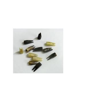 Bocina Natural de búhos, bocina de búhos, producto en oferta, punta de bocina sin procesar, producto en oferta - Product Image 3