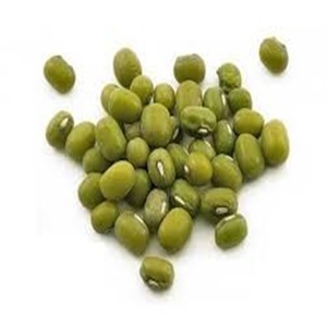 Mung <b>Beans</b> for Exports Ready for Exports - Product Image 1