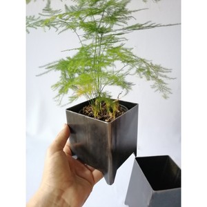 Macetas y jardineras de metal de hierro arrugado hermosas de lujo de la India para la decoración del hogar y del jardín - Product Image 5