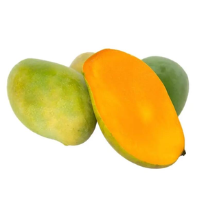 Des mangues juteuses de vergers de qualité supérieure fournies en vrac aux supermarchés et fabricants de jus des négociants en fruits mondiaux - Product Image 6