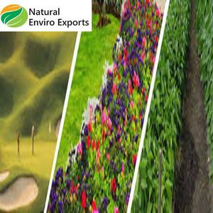 Engrais de Karanja pur et biologique à haute teneur en NPK 5:3:1, utilisé pour l'agriculture, fabriqué en Inde - Product Image 4