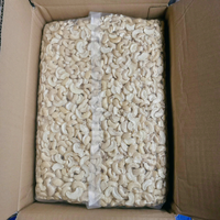 Precio de Fábrica Kaju Badam Santigo WW240 Nuez de Cajú W240 Nueces de Cajú Bajo MOQ Origen Vietnam