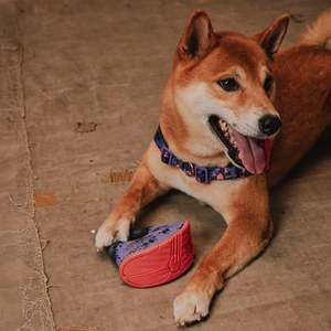 Jouet interactif pour chien Reebok 40 cm, jouet à tirer et à basculer en TPR et PC durable, style sportif pour compagnons canins actifs - Product Image 6