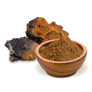 Poudre de champignon Chaga 100% pure naturelle, extrait végétal, qualité alimentaire, culture sauvage, qualité biologique supérieure, prix de gros, Inde - Product Image 3