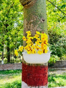 Jardinières en plastique murales modernes Pots de fleurs suspendus ovales pour usage intérieur et extérieur Accessoire de jardin décoratif - Product Image 3