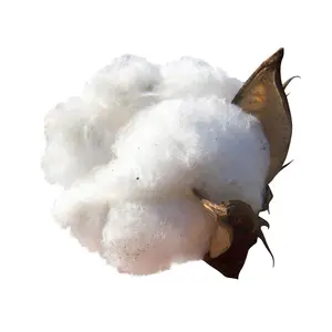 Alta calidad suelta/enrollada/hojas de pulpa de algodón a granel proveedor confiable Pulpa de linter de algodón