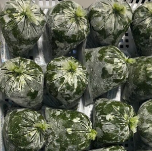 ใบมันสำปะหลังจากเวียดนาม | คุณภาพยอดเยี่ยมอัตราการแข่งขันการส่งออกทั่วโลกที่เชื่อถือได้สำหรับการขาย/สำหรับการสั่งซื้อจำนวนมาก - Product Image 6