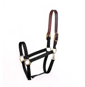 Economy Safety Halter Horse Halter with Name <b>Plate</b> <b>Weight</b> Reduction - Product Image 4