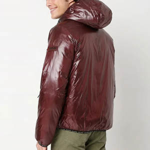 Veste d'hiver matelassée oversize légère et écologique pour homme, col montant, style streetwear brillant et personnalisable - Product Image 4