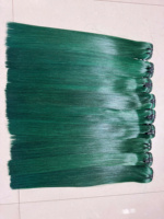 Extensions de cheveux vietnamiennes à trame simple, teintes, lisses, en cheveux humains Remy, cuticules entièrement alignées, double trame machine