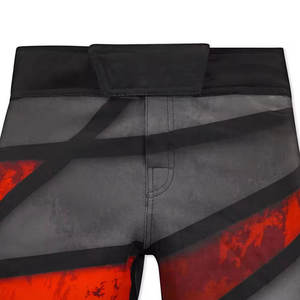 Shorts Men <b>Elastic</b> <b>Waistband</b> Shorts Made In Pakistan Lightweight Custom Made Sublimation Mesh Shorts - Product Image 2