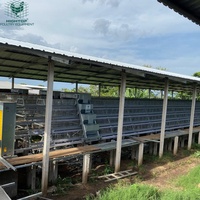 Cage à poulets grande capacité en promotion, cages en batterie en forme de A pour poules pondeuses avec système de convoyeur d'œufs automatisé pour climat tropical