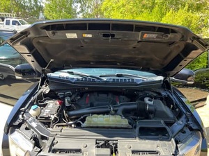 USADO LHD/RHD 2020 FO RD F-150 RA PT OR - Product Image 4