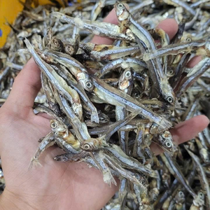 Gran oferta de pescado de anchoa seco | Producto de mar natural de alta proteína de Vietnam - Product Image 4